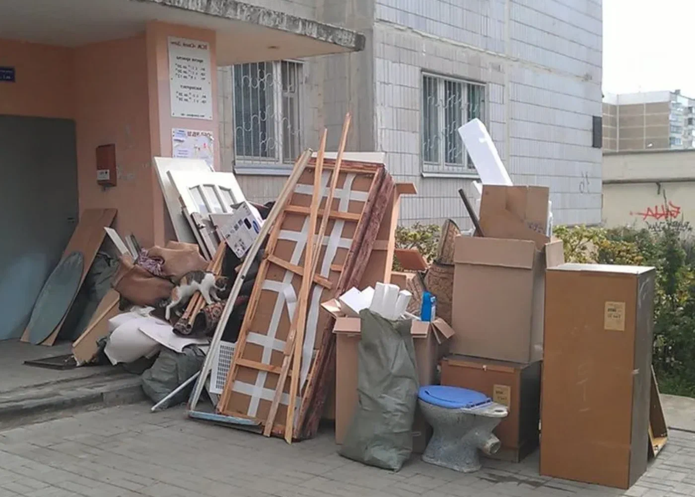 Профессиональный вывоз мусора из квартиры в Горном-Алтайске в октябре