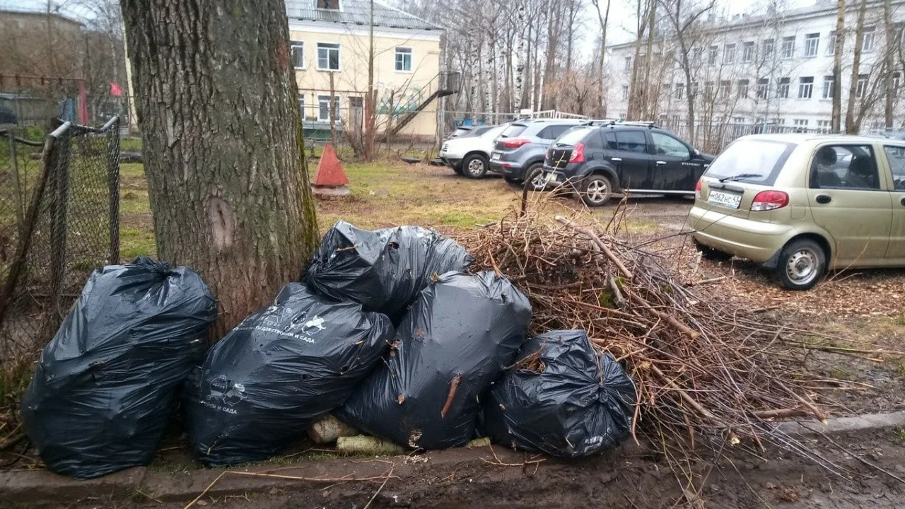 Вывоз мусора после субботника в Горном-Алтайске от ПроМусор – уборка и утилизация отходов от 2436 руб