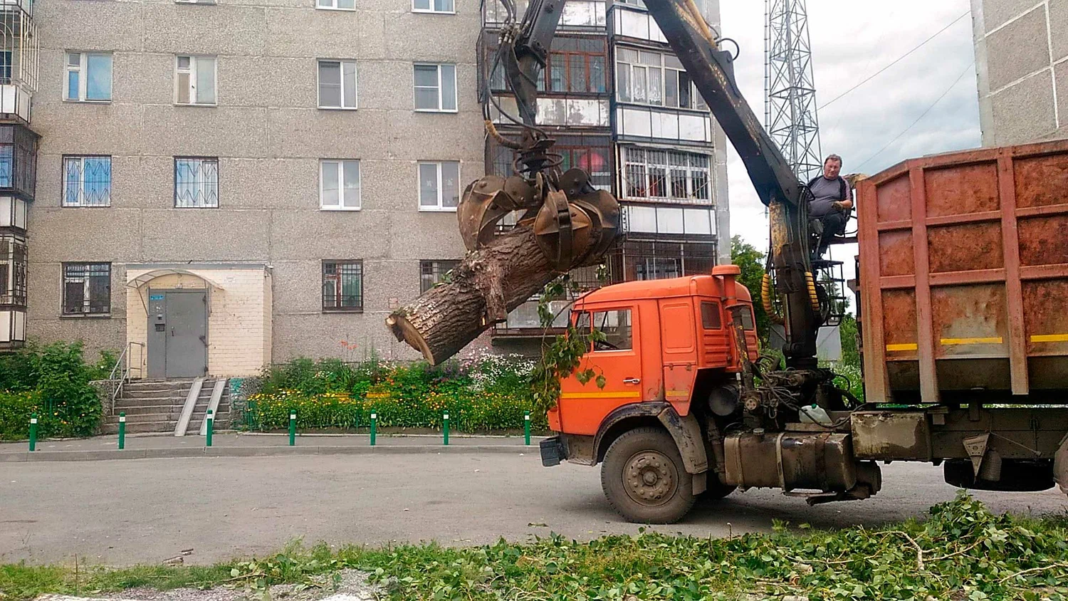 Вывоз спиленных веток и деревьев в Горном-Алтайске от ПроМусор: порубочные остатки, утилизация, цена от 3007 руб