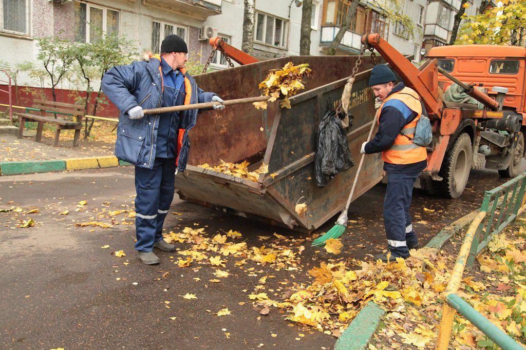 Вывоз опавшей листвы и растительного мусора в Горном-Алтайске от ПроМусор – цена от 4666 руб., быстрая уборка и утилизация